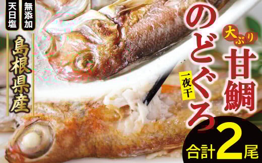 「一日漁」甘鯛・のどぐろ一夜干し【干物セット のどぐろ干物 1尾 201〜260g 甘鯛干物 1枚 301〜375g 無添加 のどぐろ ノドグロ  特大 アマダイ 大ぶり 干物 一夜干し 冷凍 父の日 母の日】島根