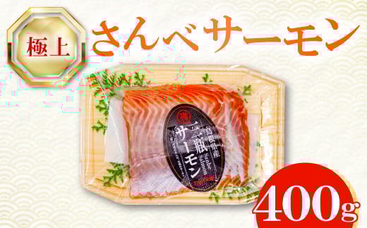 さんべサーモン 400g【サーモン 400g フィレ サーモントラウト ニジマス サーモン さけ シャケ しゃけ sake 生食用 刺身 お刺身 刺し身 魚介類 海鮮 冷凍 真空パック】島根県大田市16000魚介・海