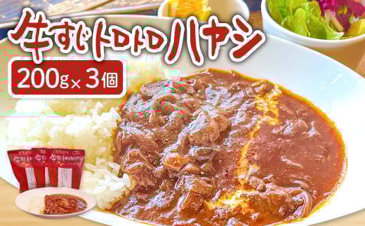 牛すじトロトロハヤシ 3個セット【ハヤシライス 3個 1食 200g レトルト食品 レトルトハヤシ レトルト 長期保存 すじ肉 牛肉 詰め合わせ セット 備蓄用 災害備蓄 島根県 大田市】島根県大田市1