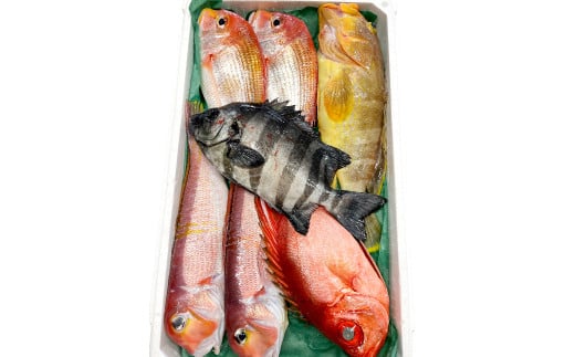 旬の鮮魚BOXお任せセット(松)【鮮魚 約5kg 冷蔵 旬 魚 さかな 天然 天然魚 新鮮 地魚 産地直送 水揚げ次第発送 おまかせ セット 詰め合わせ お取り寄せ 大田市 和江漁港】島根県大田市6