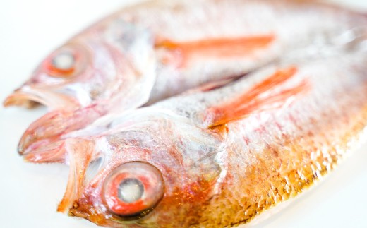 のどぐろ一夜干 150g×5枚【 のどぐろ干物 無添加 天日塩 魚介類 魚 高級魚 ノドグロ アカムツ あかむつ 干物 新鮮 冷凍 真空パック 】島根県大田市36000魚介・海産物干物