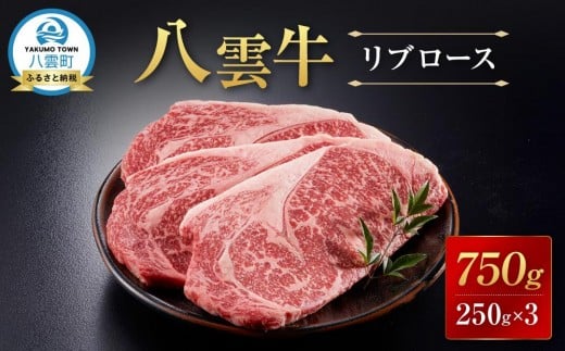【北海道情報雑誌で紹介!】八雲牛 リブロース 750g (250g×3パック) 【 牛肉 牛 肉 リブロース 食品 グルメ お取り寄せ お取り寄せグルメ  八雲町 北海道   】北海道八雲町24000肉牛肉