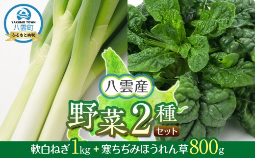 【先行予約】八雲産軟白ねぎ1kg+寒ちぢみほうれん草800gセット(2025年12月中旬以降発送開始予定)北海道八雲町10000野菜・きのこ玉ねぎ・ねぎ