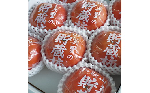 M007@①xL`a̎R13000ʕEt[c̑ ʕEt[c