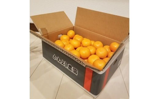 M250@˂悵_݂T@rTCYa̎R20000ʕEt[c݂Ek