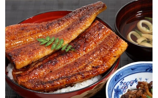 M383 【うなぎ屋かわすい】国産うなぎ蒲焼 3種×2セット(計600g以上)(ウナギ 鰻 ひつまぶし)和歌山県30000魚介・海産物うなぎ