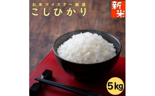 令和7年産 千葉県産コシヒカリ5kg千葉県銚子市18000米・パン玄米・雑穀米・もち米・餅