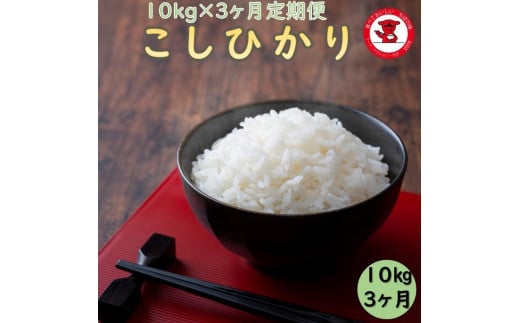 3カ月 定期便 新米 令和7年産 千葉県産 コシヒカリ 10kg千葉県銚子市95000米・パン白米