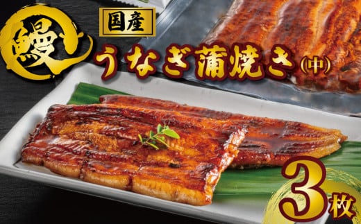 国産うなぎ蒲焼き タレ・山椒付き 中 3枚 約100g×3 うなぎ 鰻 蒲焼 定期便 うな重 鰻丼 うな丼 ひつまぶし 土用の丑の日 土用丑 魚 海鮮 魚介類 肉 冷凍 真空パック 個包装 小分け おつまみ お