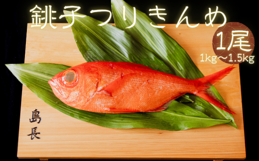 q肫 1 ڑ L_C ߂  ނL cL qY VN J Mtg  LЁY󓇒Ytqs25000ECYN