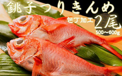 q肫 H500`600g 2iⓀj肫 ނ肫 L_C ڑ ߂ ^C  q J VN Mtg LЁY󓇒Ytqs16000ECY