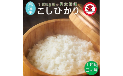 【3ヶ月定期便】新米 令和7年産  無洗米コシヒカリ 10kg 3ヶ月【千葉県産】【お米マイスター厳選】千葉県銚子市98000米・パン無洗米