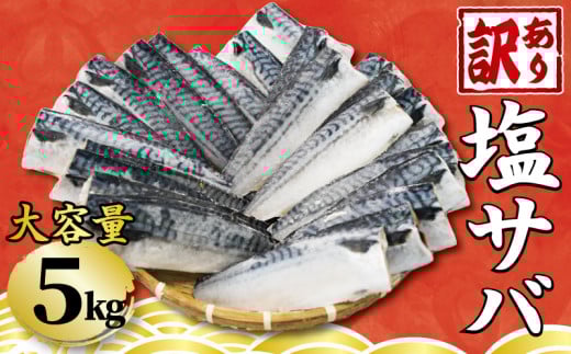訳あり 塩さば フィーレ 選べる容量 約5kg 鯖 さば 塩鯖 フィレ 魚介類 魚 魚貝 魚介 海鮮 人気 冷凍 大容量 冷凍食品 おつまみ 酒 さけ おかず 惣菜 弁当 不揃い 規格外 訳アリ 訳有 傷 グルメ