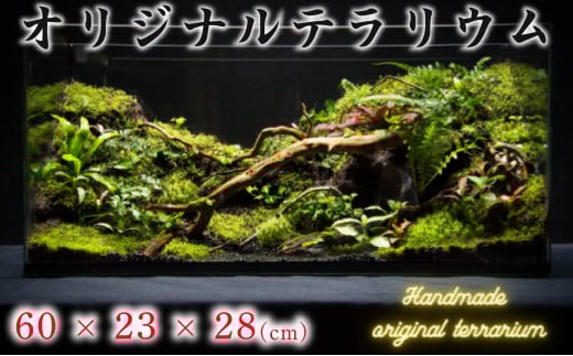 オリジナル テラリウム サイズ 60×23×28 手作り ハンドメイド 観賞用 千葉県 銚子市千葉県銚子市334000衣類・装飾品・工芸品その他 装飾品・工芸品