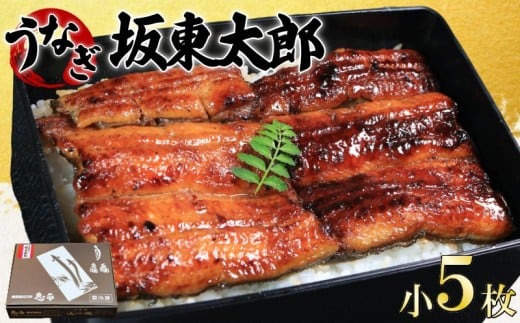 うなぎ 蒲焼 坂東太郎 小 5枚 鰻 鰻蒲焼 たれ 国産 化粧箱入り レトルト 惣菜 特別 人気 化粧箱入り タレ 山椒 スタミナ 大容量 簡単調理 真空パック お取り寄せ グルメ ギフト お土産 土用の