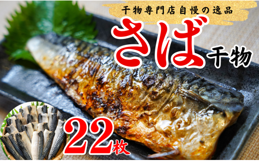無添加 塩さば 干物 22枚 大容量 さば 鯖 魚 和食 惣菜 簡単 調理 さかな 時短 無添加 健康 おかず 千葉 銚子 千葉県 銚子市千葉県銚子市11000魚介・海産物干物