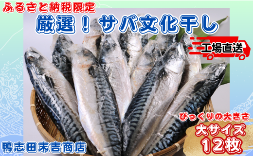 サバ文化干し 大 サイズ 12枚 ! 冷凍 サバ さば 鯖 さば文化 サバ文化 文化干 10000 10,000円 塩サバ 塩鯖 バラ凍結 小分け おかず 干物 夕食 こだわり  厳選 肉厚 海鮮 ボリューム 焼き鯖弁