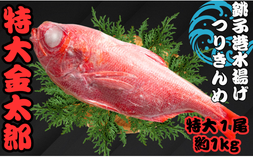 金目鯛 キンメダイ 1尾 約1kg 銚子釣り金目 特大金太郎 銚子キンメ きんめだい 特大サイズ 金目鯛 新鮮 銚子港水揚げ 瞬間冷凍 つりきんめ キンメ 釣り きんめ キンメダイ きんめだい おさし
