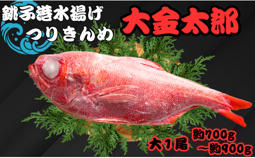 金目鯛 キンメダイ 1尾 約700g ~ 900g 銚子つりきんめ 大金太郎 銚子キンメ きんめだい 大きい金目鯛 銚子釣り金目 金目鯛 銚子 新鮮 銚子港水揚げ 瞬間冷凍 つりきんめ キンメ 釣り きんめ キ