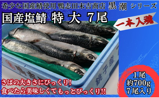 国産塩鯖 特大サイズ 7尾 約4kg 冷凍 銚子 さば サバ 鯖 国産 塩 美味しい 国産鯖 青魚 塩鯖 特大 上質 尾頭付 おかず 夕食 夕飯 炭火 炭火焼  グルメ お取り寄せ 銚子港 背開き イベント 焼魚