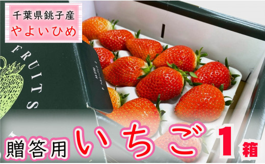 先行予約 贈答用 いちご やよいひめ  1箱  約400g 化粧箱 いちご イチゴ 苺  人気 定番 食べやすい 果物 フルーツ ストロベリー ジャム  朝摘み 採れたて 新鮮 産直 安心安全 期間限定  千葉県