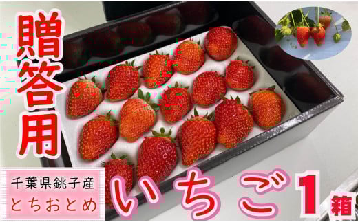 先行予約 いちご とちおとめ 1箱 (約400g) 林いちご園 銚子産  苺 いちご イチゴ ビタミンC 葉酸 食物繊維 朝採れ デザート ミルフィーユ フルーツ ヨーグルト スムージー 千葉県 銚子市千葉