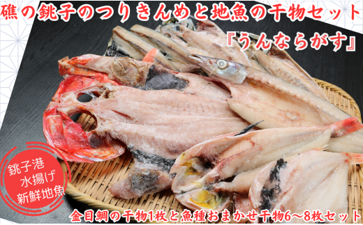  ʂ̂肫߂̊ƒq̒nZbguȂ炪vڑ̊1Ɗ6`8̃Zbg qY   SY n VN   lߍ킹 肫