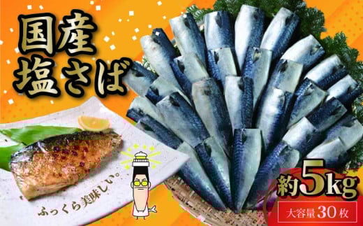 国産 塩サバフィレ 30枚 約5kg 鯖 塩 さば 魚 さかな 海鮮 海産物 おかず サバ 鯖ご飯 おすすめ 人気 さば サバ 鯖 魚 魚介 海鮮 惣菜 塩サバ 塩鯖 焼き鯖 サバ 焼きさば 焼さば 減塩 塩 鯖 さ