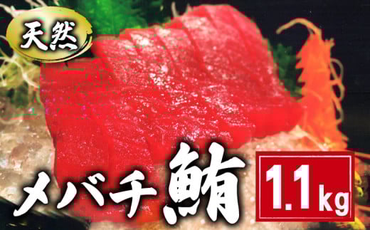 VR o`܂ؐg 1.1kg 160×7pbN ܂  hg Ԑg  }O lMg }OЂ CN  i SΘ 芪i  CN  ܂  Ⓚ   