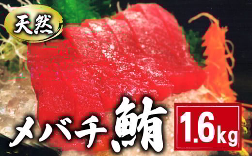 VR o`܂ؐg 1.6kg 160×10pbN ܂  hg Ԑg  }O lMg }OЂ CN  i SΘ 芪i  CN  ܂  Ⓚ   