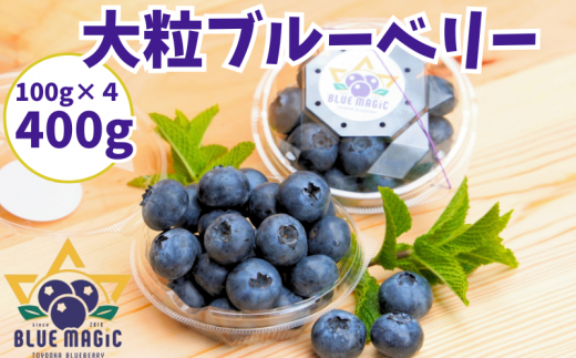 is\j 嗱u[x[ 400 i100g×SpbNj  tbV u[x[ 嗱  t[c ʕ  W [Og `[YP[L N[v [P[L ^g 