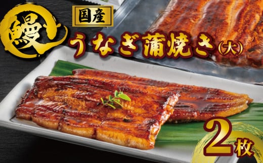 国産うなぎ蒲焼き タレ・山椒付き 大 2枚 約110g×2 うなぎ 鰻 蒲焼 定期便 うな重 鰻丼 うな丼 ひつまぶし 土用の丑の日 土用丑 魚 海鮮 魚介類 肉 冷凍 真空パック 個包装 小分け おつまみ お