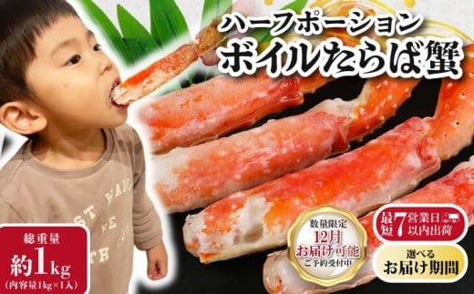 ふるさと納税 小物 山梨県 都留市 甲州織物ネクタイ　MARINE DOOR 『富士山』(レッド） リード ｜ネクタイ 甲州織物 甲斐絹 郡内織 甲州織 シルク 甲州織物ネクタイ MARINE DOOR 『富士山』(グリーン）【リード