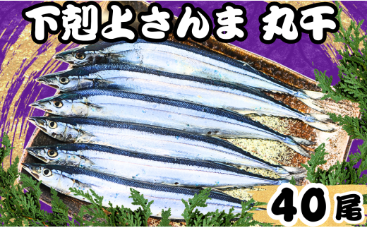 コ ۊ 40 Y  Ⓚ T} H Ki Y e Y ۊ { G߂̖o q C̍K CN  VN 蕨 lC O  ܂ r[ { 