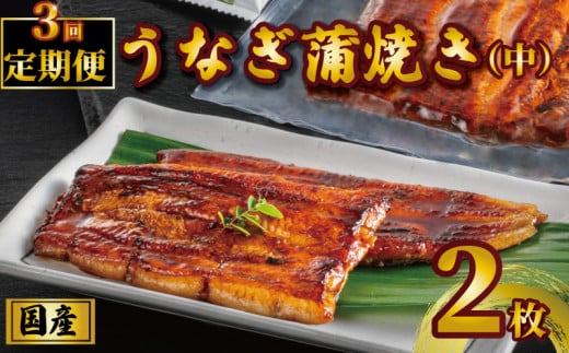 国産うなぎ蒲焼き タレ・山椒付き 2枚 1枚約100g 定期便3回  うなぎ 鰻 蒲焼 定期便 うな重 鰻丼 うな丼 ひつまぶし 土用の丑の日 土用丑 魚 海鮮 魚介類 肉 冷凍 真空パック 個包装 小分け お