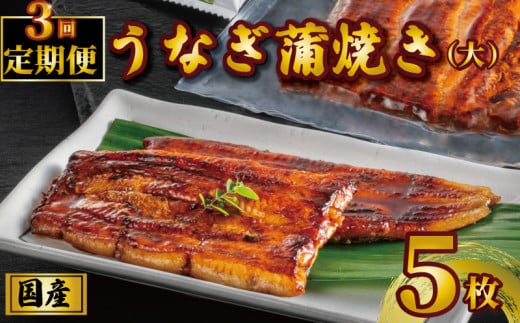 国産うなぎ蒲焼き タレ・山椒付き 5枚 1枚約110g 定期便3回  うなぎ 鰻 蒲焼 定期便 うな重 鰻丼 うな丼 ひつまぶし 土用の丑の日 土用丑 魚 海鮮 魚介類 肉 冷凍 真空パック 個包装 小分け お