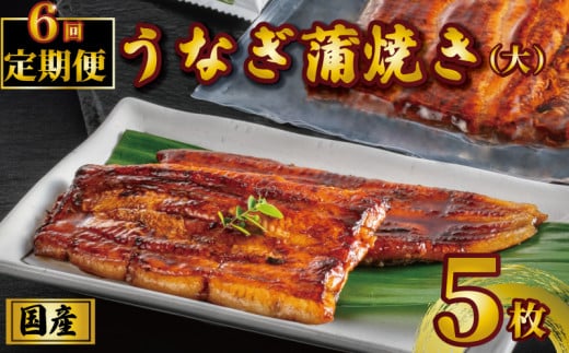 国産うなぎ蒲焼き タレ・山椒付き 5枚 1枚約110g 定期便6回  うなぎ 鰻 蒲焼 定期便 うな重 鰻丼 うな丼 ひつまぶし 土用の丑の日 土用丑 魚 海鮮 魚介類 肉 冷凍 真空パック 個包装 小分け お