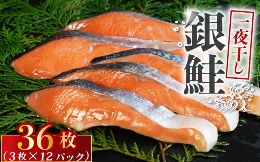 銀鮭 一夜干し 36枚 (12パック×3枚)干物 ひもの さけ 鮭 魚 海鮮 おかず 酒 のあて おつまみ 弁当 塩 魚介 惣菜 食品 冷凍食品 グルメ 贈答 贈り物 プレゼント ギフト お取り寄せ ふるさと納
