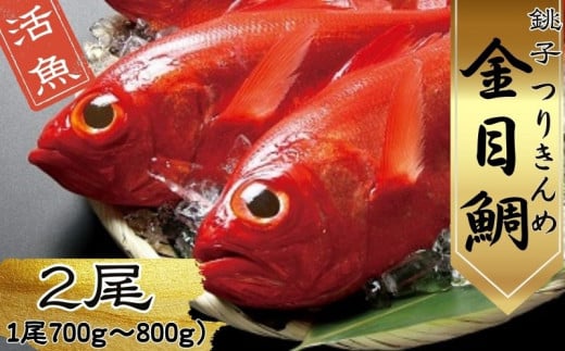 生 キンメダイ  2尾 (1尾700g〜800g) 金目鯛 新鮮 銚子港水揚げ つりきんめ キンメ 釣り きんめ キンメダイ 煮つけ 鯛 タイ 刺身 鍋 魚 海鮮 魚介類 魚貝 冷蔵 真空パック ギフト プレゼント グ