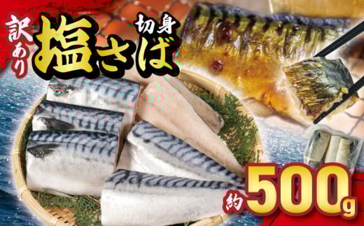 訳あり 塩サバ切身 約500g ノルウェー産 冷凍 サバ 鯖 塩サバ 塩鯖 鯖切身 鯖切り身 サバ切身 サバ切り身 切り身 切身 海鮮 魚 大容量 青魚 おかず 惣菜 魚介 おつまみ 弁当 人気 冷凍食品 グ