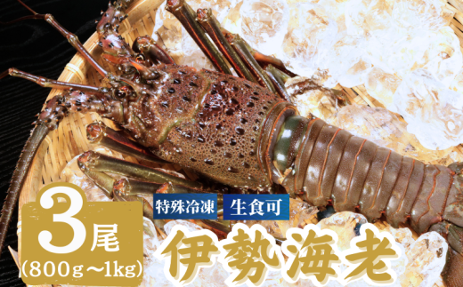 Ⓚ ɐCV  3 i1800`1000g jCZGr Gr CV bk }Ⓚ hg hg  CN   ̂ ܂ ٓ   y  Hi ⓀHi O  蕨 v[