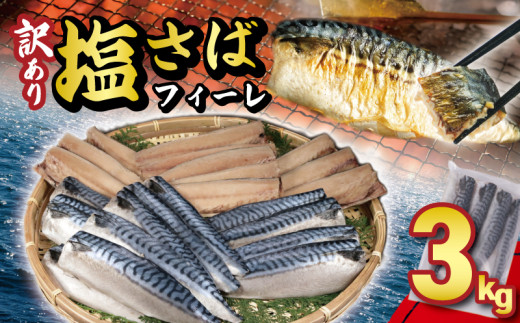 訳あり 塩サバフィーレ 約3kg ノルウェー産 冷凍 サバ 鯖 塩サバ 塩鯖 海鮮 魚 大容量 規格外 不揃い 青魚 おかず 惣菜 魚介 おつまみ 弁当 人気 冷凍食品 グルメ 贈答 贈物 ギフト 長期保存