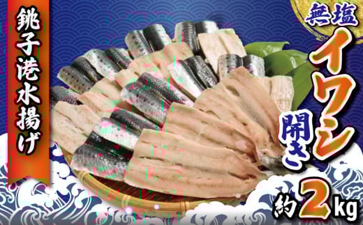 いわし イワシ開き 無塩 約2.0kg 冷凍 銚子港水揚げ 鰯 イワシ 開き 海鮮 魚 大容量 青魚 おかず 惣菜 蒲焼 かばやき 魚介 焼魚 魚貝 おつまみ 弁当 人気 冷凍食品 グルメ 贈答 贈物 ギフト 長期