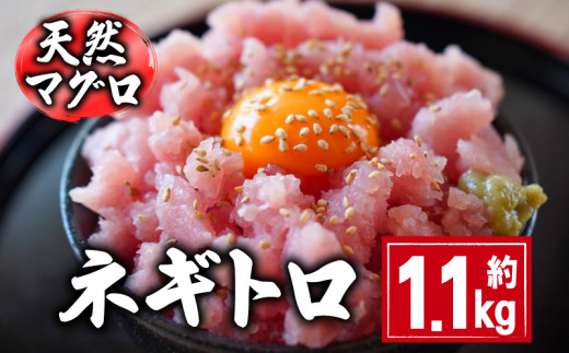 天然マグロ ネギトロ 約1.1kg 10,000円 国産 まぐろ 鮪 刺身 赤身 肉 ビンチョウマグロ ビンチョウ メバチマグロ 鉢マグロ メバチ キハダマグロ キハダ ネギトロ ツナ マグロ漬け マグロ 刺身 カ