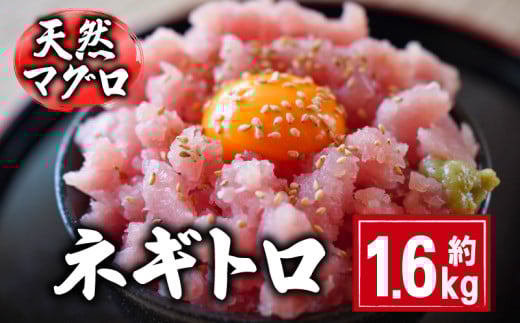 天然マグロ ネギトロ 約1.6kg 国産 まぐろ 鮪 刺身 赤身 肉 ビンチョウマグロ ビンチョウ メバチマグロ 鉢マグロ メバチ キハダマグロ キハダ ネギトロ ツナ マグロ漬け 海鮮丼 丼 寿司 鉄火丼