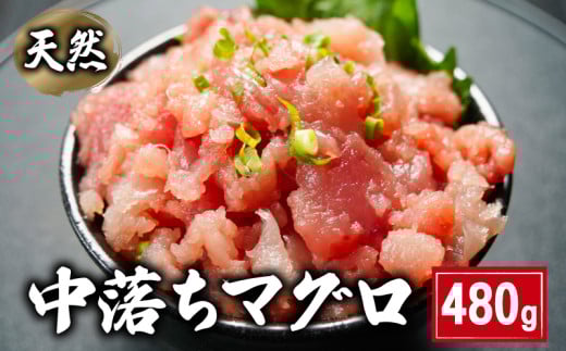ネギトロ 天然 中落ちマグロ  480g 160×3パック ビンチョウマグロ メバチマグロ キハダマグロ まぐろ 鮪 刺身 赤身 肉 鉢マグロ ビンチョウ キハダ 中落ち 希少 ネギトロ マグロ漬け 海鮮丼 丼