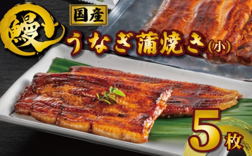 国産うなぎ蒲焼き タレ・山椒付き 小 5枚 約90g×5 うなぎ 鰻 蒲焼 うな重 鰻丼 うな丼 ひつまぶし 土用の丑の日 土用丑 魚 海鮮 魚介類 肉 冷凍 真空パック 個包装 小分け おつまみ おかず 惣