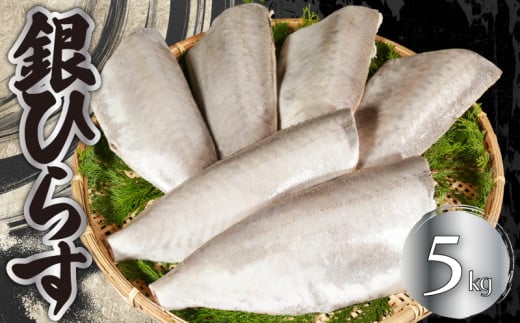 銀ひらす 5kg ヒラス シルバー 下処理済み 無塩 無添加 添加物不使用 白身魚 食べやすい 手軽 大容量 個別冷凍 厳選 西京焼き 煮魚 煮つけ 煮付け 焼き魚 煮物 揚げ物 和食 お弁当 惣菜 おかず