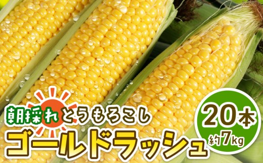 s\ Ƃ낱 20{ 7kg qY S[hbV XC[gR[ gERV R[  ₳ { Ė ̂ ̂ Y Yn ① e lC BBQ Lv 