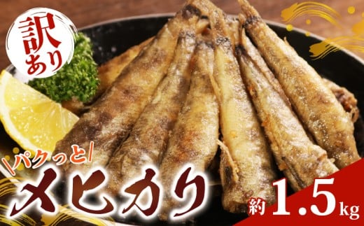 󂠂 pNƃqJ 1.5kg ߂Ђ 󂠂 ڌ CN  e  y  ċ L tC ؒЂ g o[xL[ Vs ܂ ٓ H H [H  ɂ 